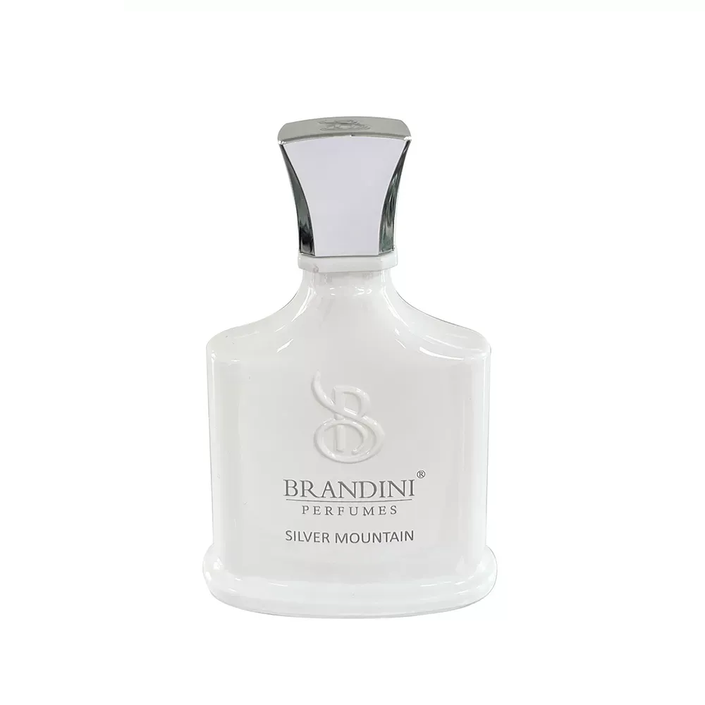 عطر جیبی برندینی مدل Silver Mountain حجم 33 میلی لیتر